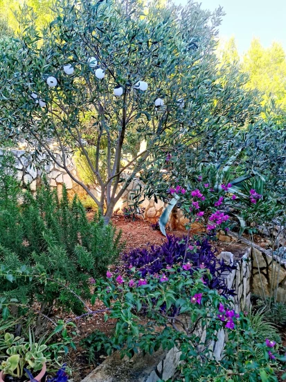 Apartmán Střední Dalmácie - Blato DA 7576 N1