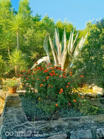 Apartmán Střední Dalmácie - Blato DA 7576 N1