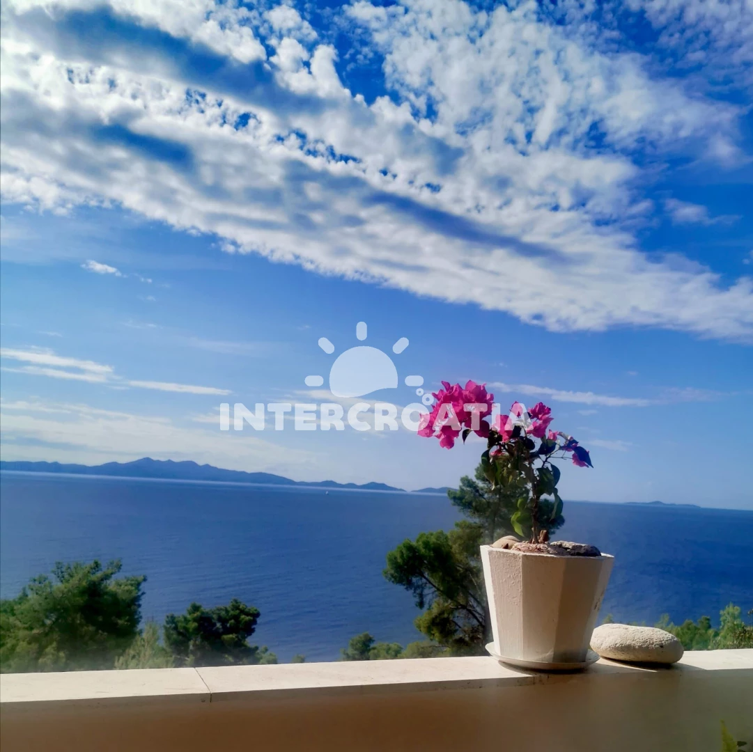 Apartmán Střední Dalmácie - Blato DA 7576 N2