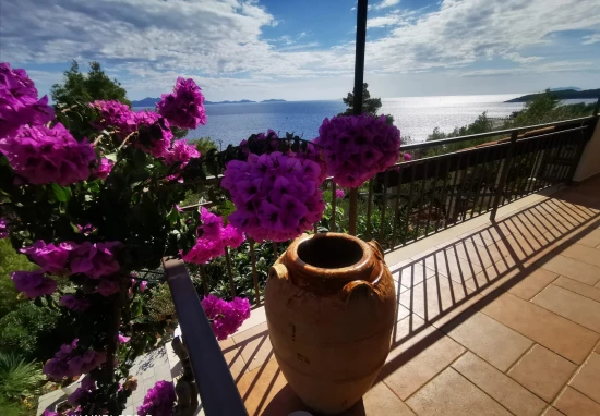 Apartmán Střední Dalmácie - Blato DA 7576 N2