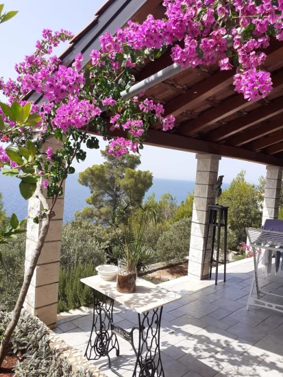 Apartmán Střední Dalmácie - Blato DA 7576 N2