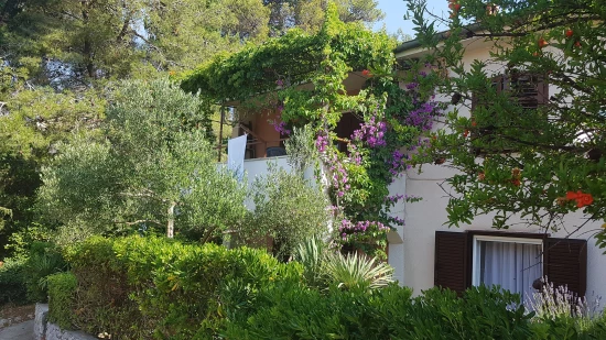 Apartmán Ostrov Hvar - Vrboska OS 9648 N1