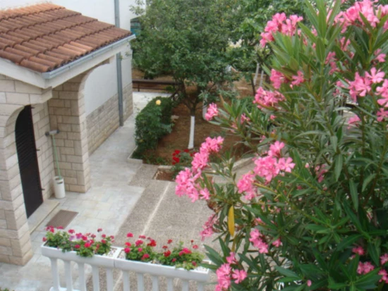 Apartmán Kvarner - Crikvenica KV 7101 N1