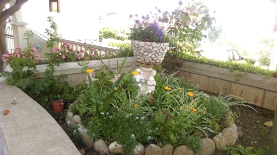 Apartmán Ostrov Brač - Sumartin OS 9651 N1