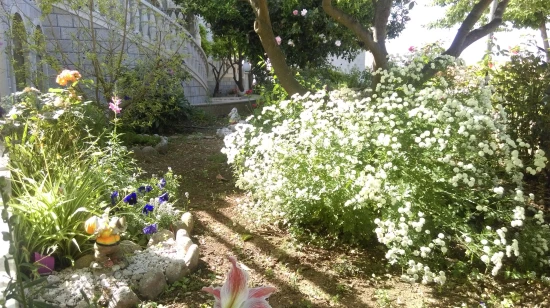 Apartmán Ostrov Brač - Sumartin OS 9651 N1