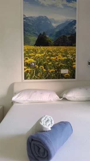 Apartmán Ostrov Brač - Sumartin OS 9651 N1