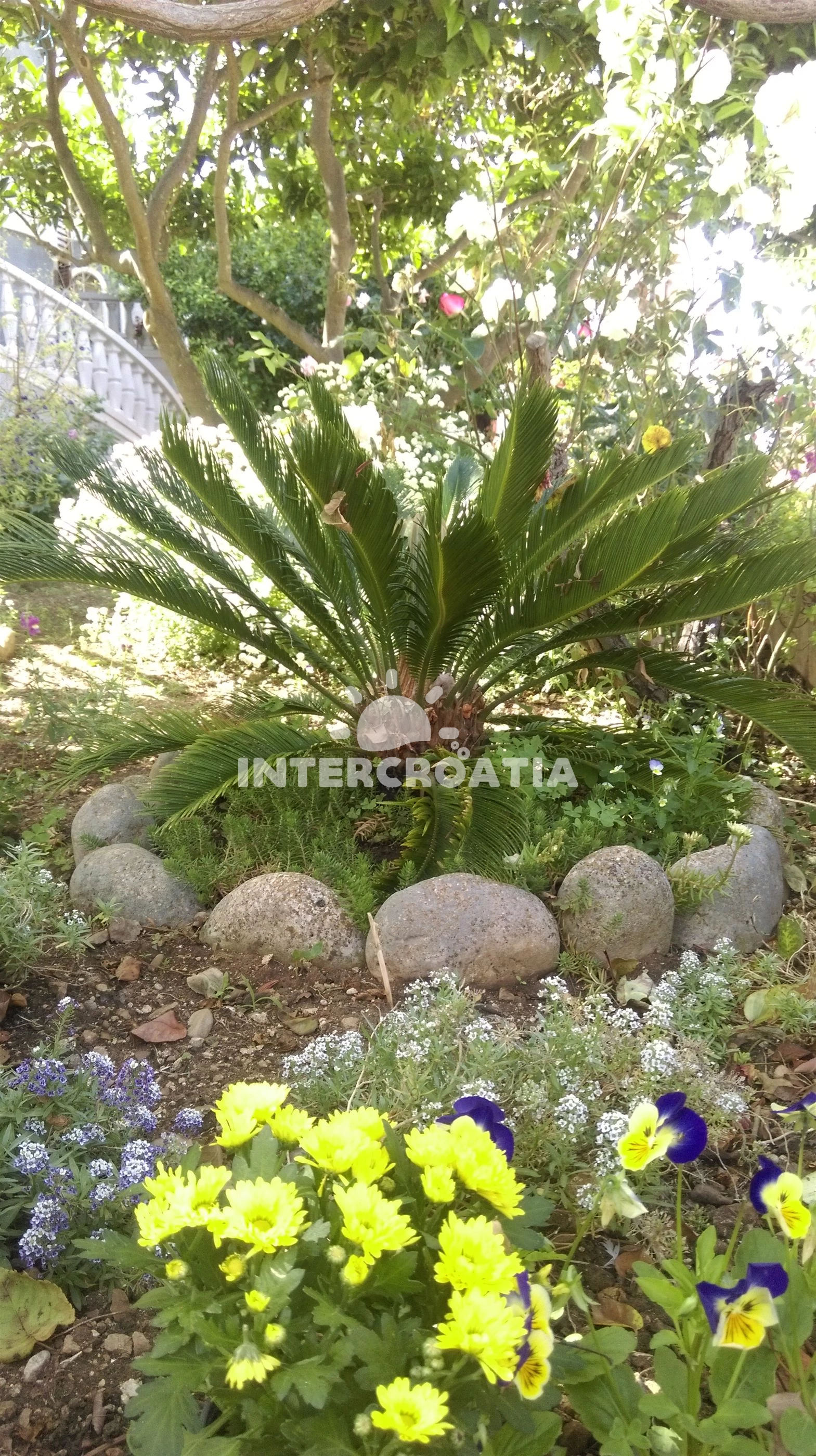 Apartmán Ostrov Brač - Sumartin OS 9651 N2