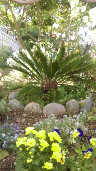 Apartmán Ostrov Brač - Sumartin OS 9651 N2