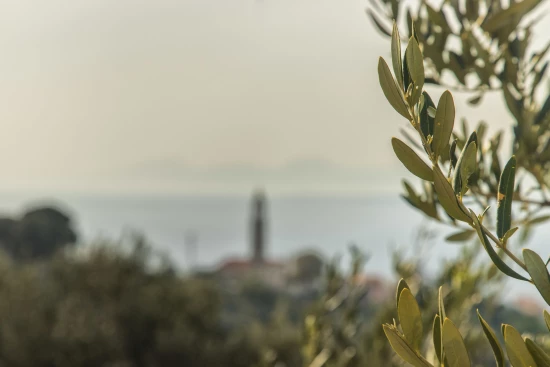 Domek Střední Dalmácie - Igrane DA 7590 N1