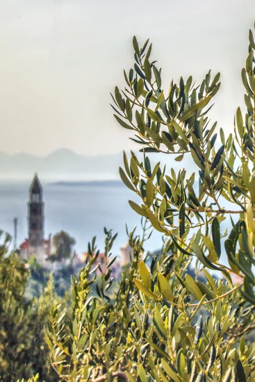 Domek Střední Dalmácie - Igrane DA 7590 N1