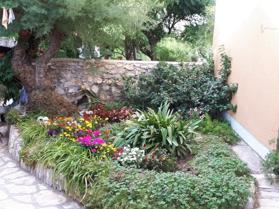 Apartmán Severní Dalmácie - Ražanac DA 7591 N2