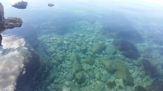 Apartmán Severní Dalmácie - Ražanac DA 7591 N2