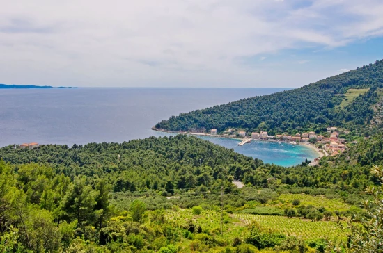 Domek Jižní Dalmácie - Trstenik DA 7596 N1