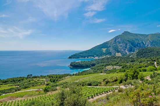 Domek Jižní Dalmácie - Trstenik DA 7596 N1