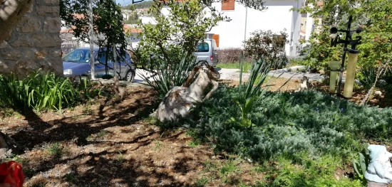 Apartmán Ostrov Hvar - Hvar OS 9680 N3