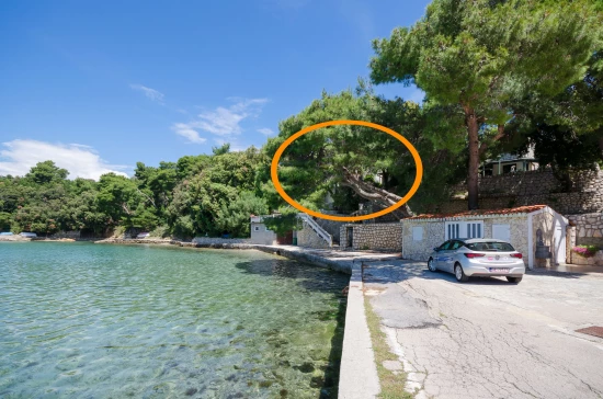 Apartmán Ostrov Rab - Lopar OS 9683 N4