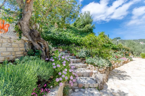 Apartmán Ostrov Šolta - Stomorska OS 9688 N4