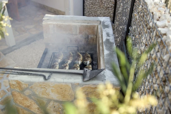 Vila Severní Dalmácie - Drniš (Šibenik) DA 7619 N1