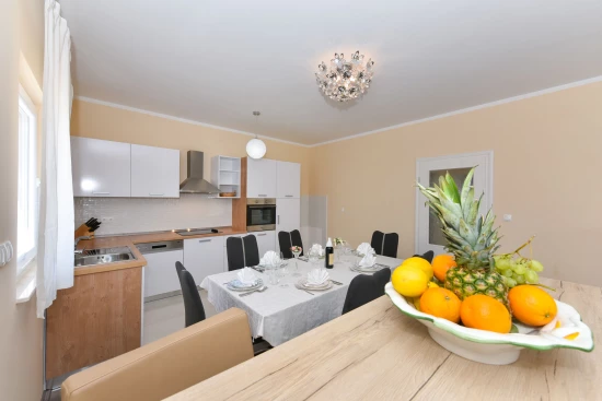 Vila Severní Dalmácie - Privlaka DA 7621 N1