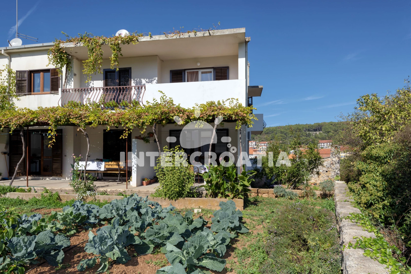 Apartmán Ostrov Hvar - Jelsa OS 9693 N1