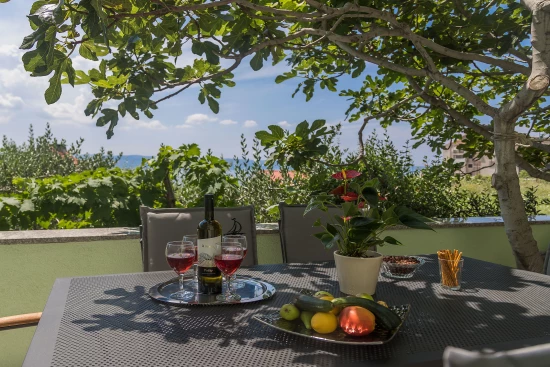 Apartmán Střední Dalmácie - Dugi Rat DA 7624 N1