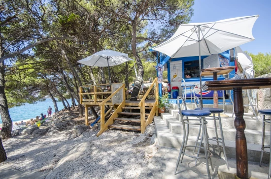 Apartmán Severní Dalmácie - Tribunj (Vodice) DA 7629 N1