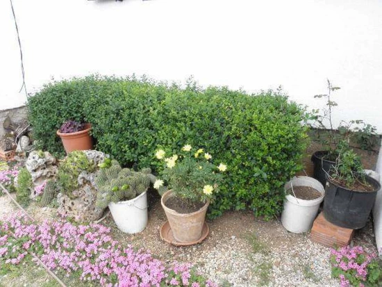 Apartmán Severní Dalmácie - Seline DA 7636 N1