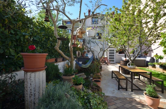 Apartmán Istrie - Štinjan IS 7065 N1