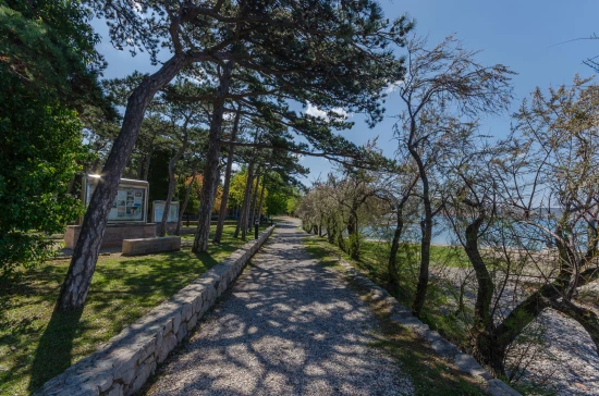 Apartmán Severní Dalmácie - Starigrad Paklenica DA 7641 N1