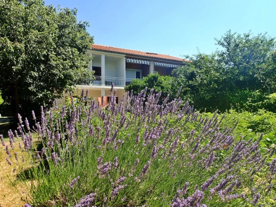Apartmán Severní Dalmácie - Starigrad Paklenica DA 7645 N1
