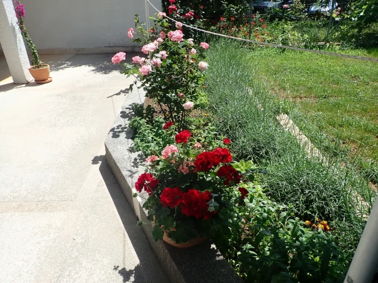 Apartmán Severní Dalmácie - Starigrad Paklenica DA 7645 N1