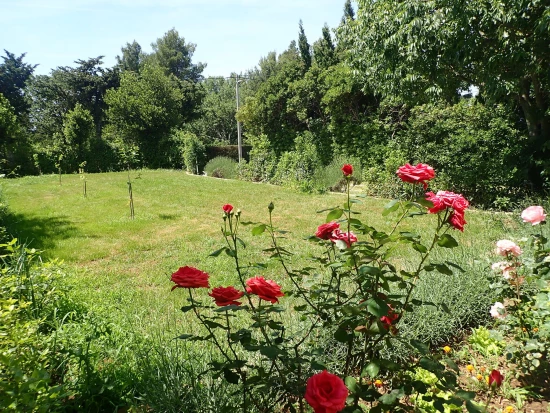 Apartmán Severní Dalmácie - Starigrad Paklenica DA 7645 N1