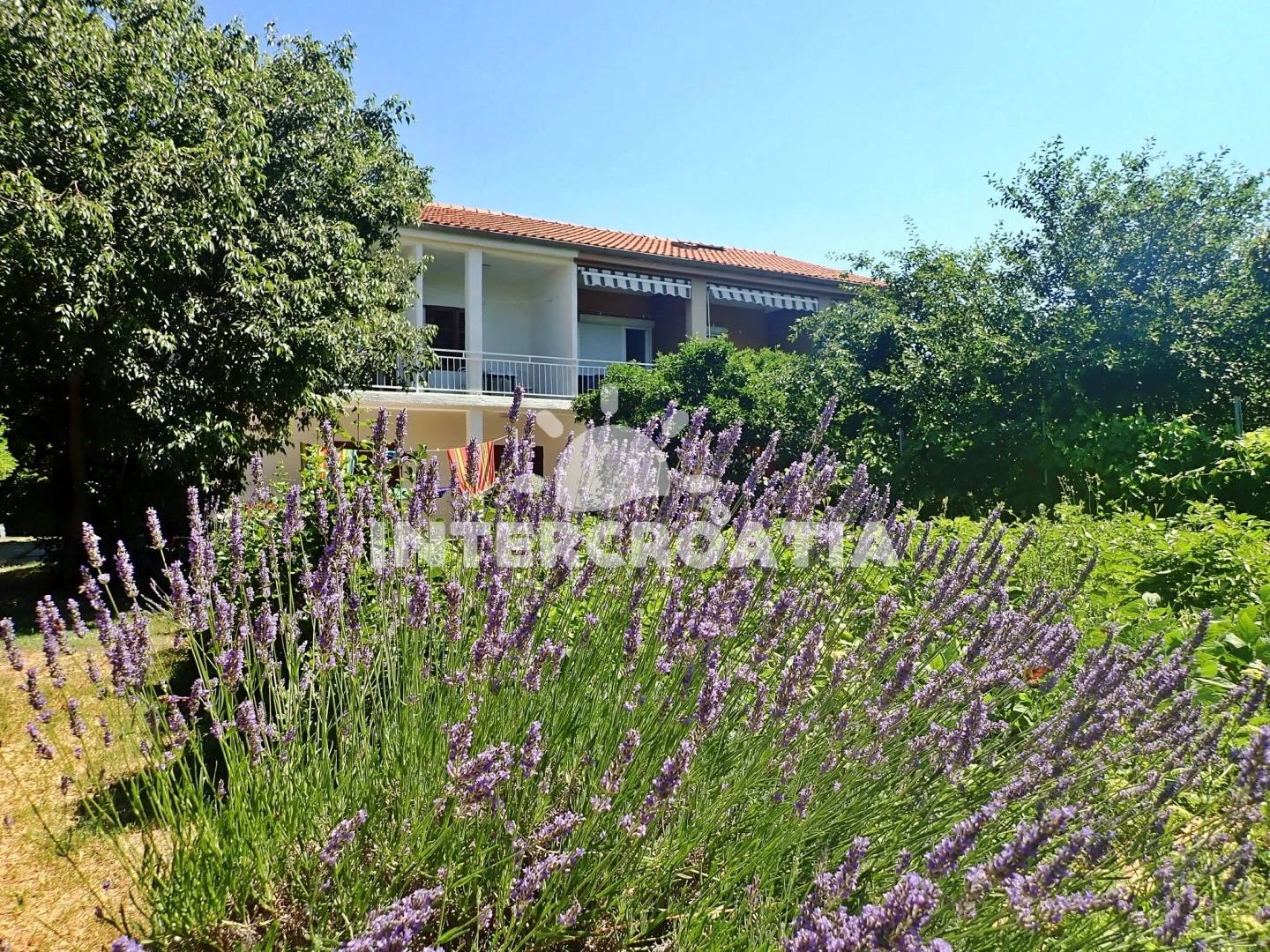 Apartmán Severní Dalmácie - Starigrad Paklenica DA 7645 N2