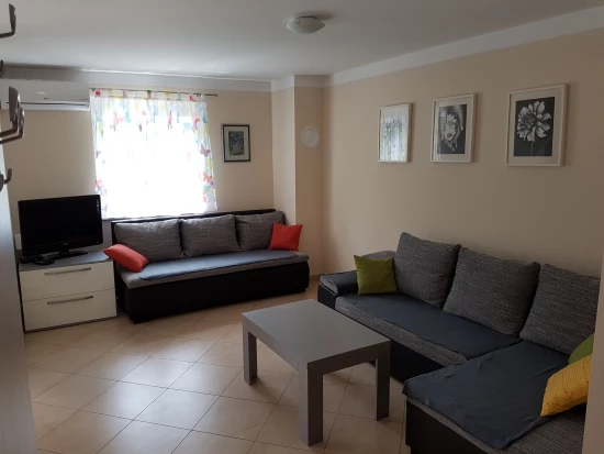 Apartmán Severní Dalmácie - Starigrad Paklenica DA 7646 N1