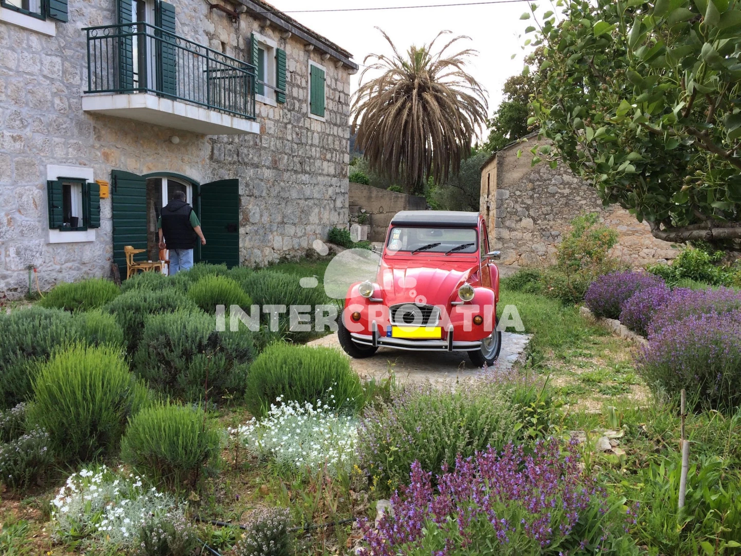 Domek Ostrov Hvar - Jelsa OS 9700 N1