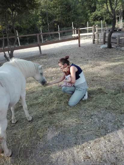 Apartmán Kvarner - Tribalj (Crikvenica) KV 7116 N1