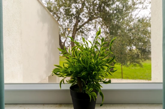 Apartmán Střední Dalmácie - Kaštela DA 7659 N2