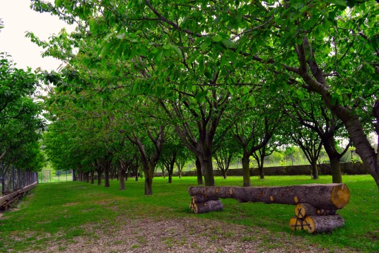 Vila Střední Dalmácie - Gizdavac (Split) DA 7661 N1