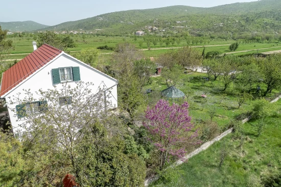 Vila Střední Dalmácie - Gizdavac (Split) DA 7661 N1