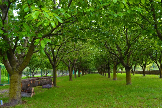 Vila Střední Dalmácie - Gizdavac (Split) DA 7661 N1