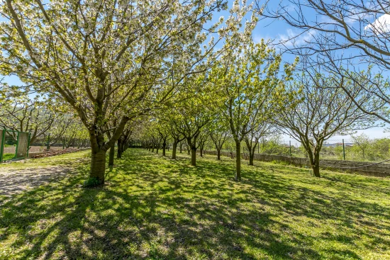 Vila Střední Dalmácie - Gizdavac (Split) DA 7661 N1