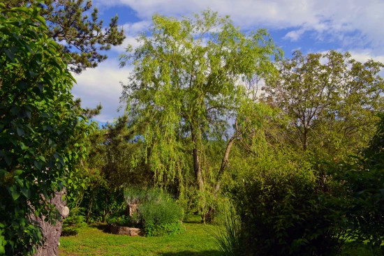 Vila Střední Dalmácie - Gizdavac (Split) DA 7661 N1