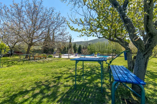 Vila Střední Dalmácie - Gizdavac (Split) DA 7661 N1