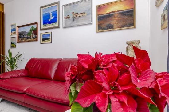 Vila Střední Dalmácie - Gizdavac (Split) DA 7661 N1