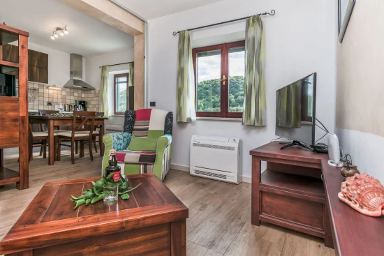 Vila Střední Dalmácie - Gata (Omiš) DA 7667 N1