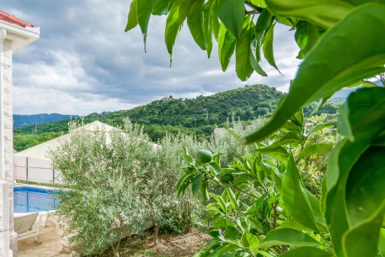 Vila Střední Dalmácie - Gata (Omiš) DA 7667 N1