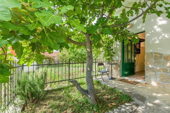 Vila Střední Dalmácie - Gata (Omiš) DA 7667 N1