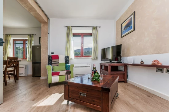 Vila Střední Dalmácie - Gata (Omiš) DA 7667 N1