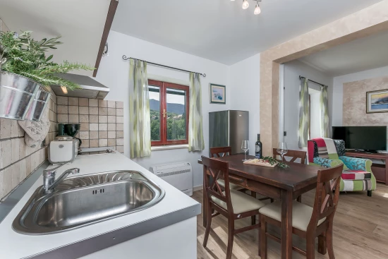 Vila Střední Dalmácie - Gata (Omiš) DA 7667 N1