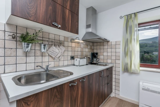 Vila Střední Dalmácie - Gata (Omiš) DA 7667 N1